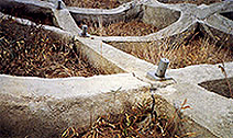 兵庫県南部地震 - Wikipedia